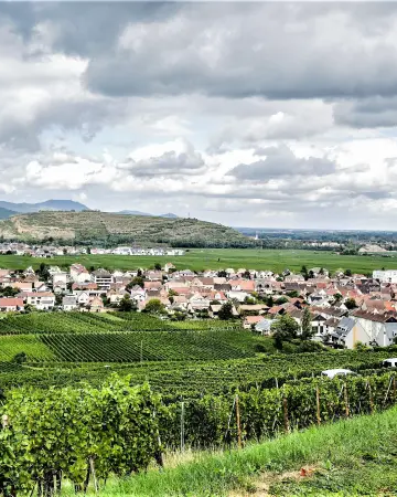 Château du Hohlandsbourg dominant les vignes de Wintzenheim, près de Colmar, Alsace. Adaptez-le à ce que montre votre photo.